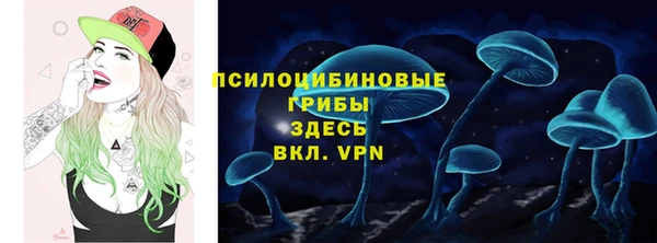 прущие грибы Тобольск