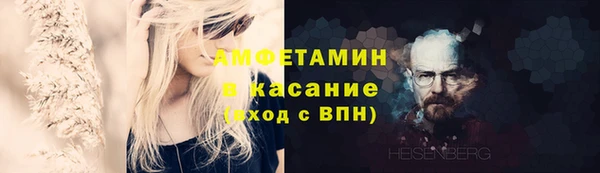 прущие грибы Тобольск