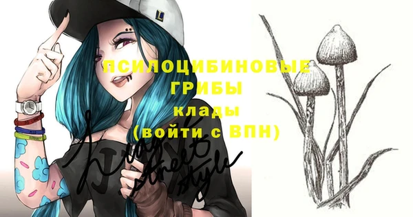 прущие грибы Тобольск