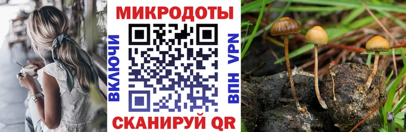 OMG ТОР  магазин продажи   Шацк  Псилоцибиновые грибы Magic Shrooms 